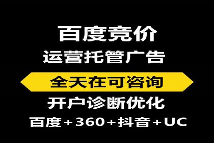 行业领先的SEM投放效果案例解析